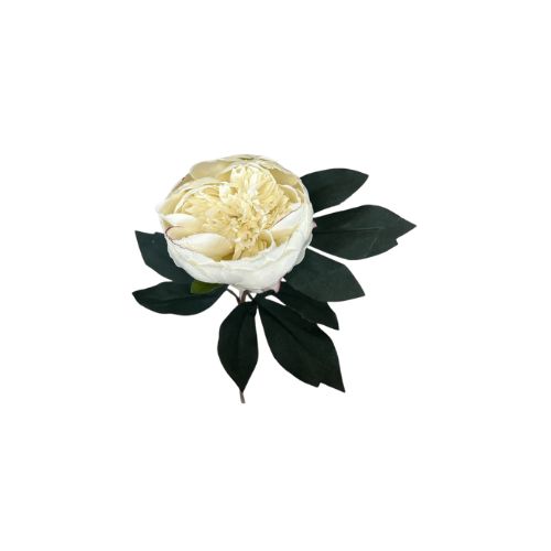 24" Peony Stem - Assorted