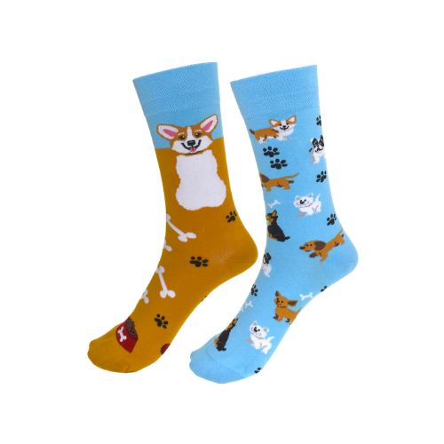 Socks - Corgi