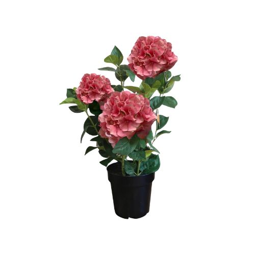 25.5" Potted Hydrangea - Pink