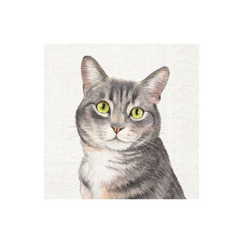 Lunch Napkin - Farm Cat