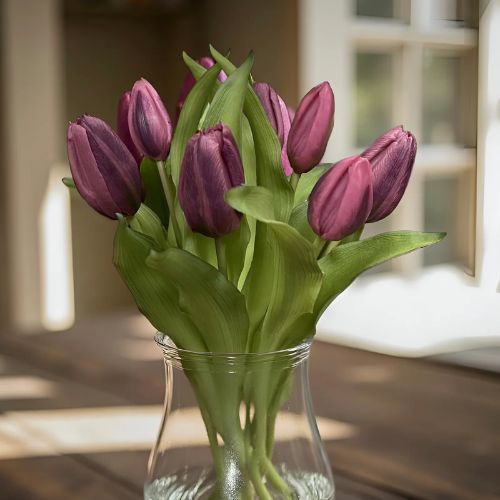 12" Formosa Tulips - Dark Plum