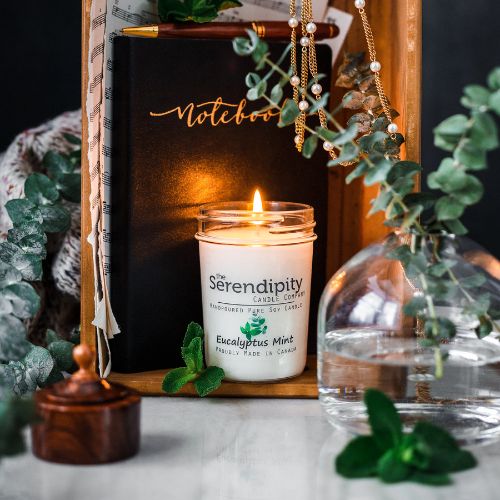 16oz Scented Candle ~ Eucalyptus Mint