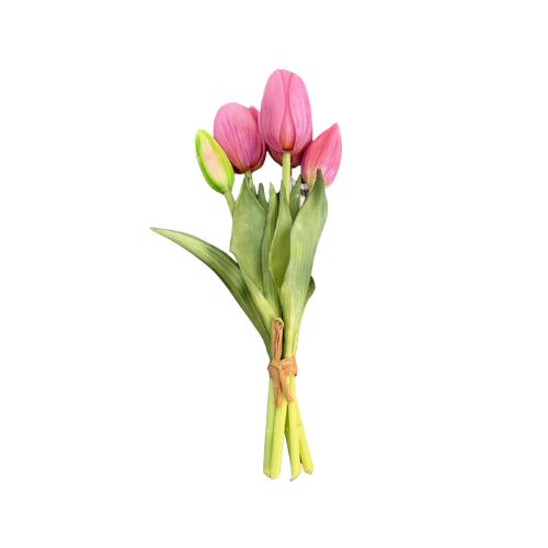 9.5" Mini Tulip Bundle - Deep Blush