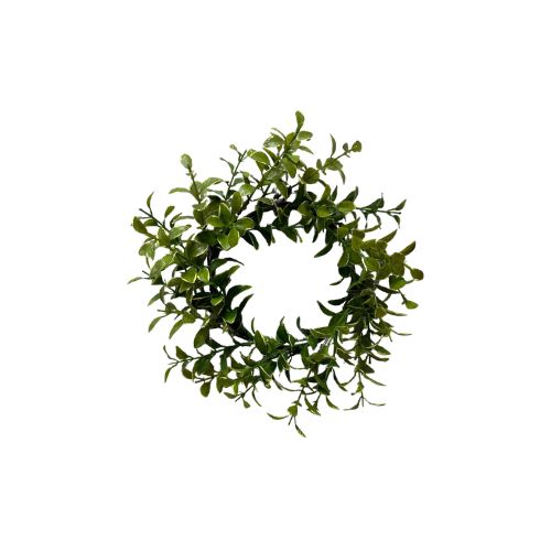9" Golden Euonymus Candle Ring