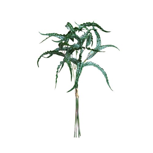 18.5" Eucalyptus Pick