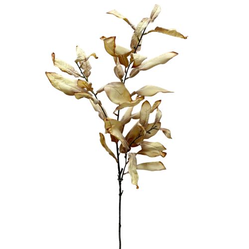 Dried Leaves Spray - Cream