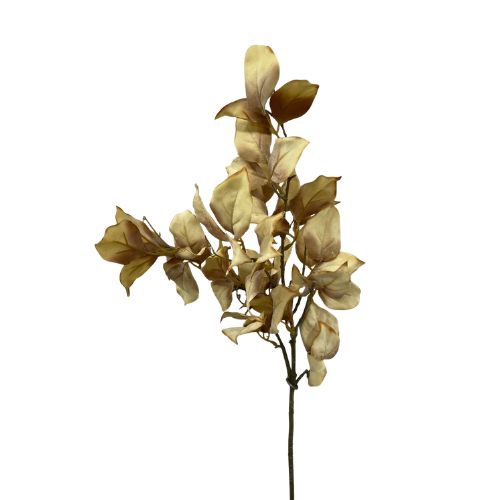 Dried Leaf Spray - Cream