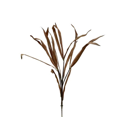 Dried Narcissus Spray - Fall