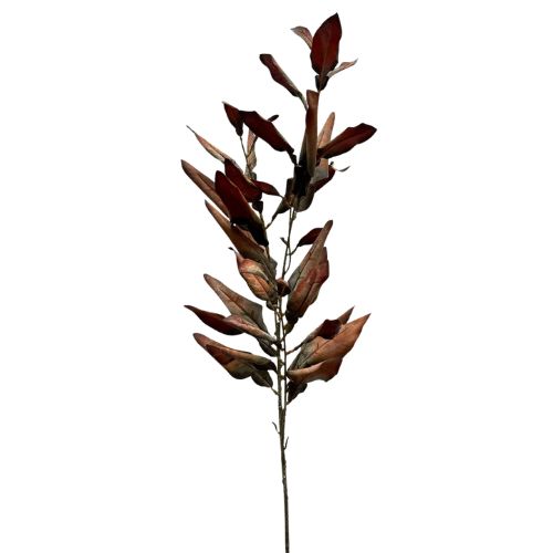 Dried Leaves Spray - Rust