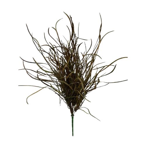 Grass Bush - Fall