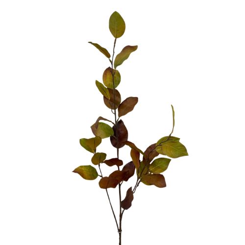 Lemon Leaf Spray - Brown &amp; Green