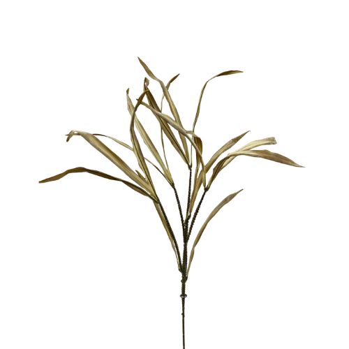 Dried Narcissus Spray - Cream