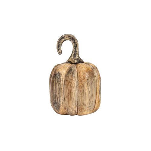 Curl Stem Pumpkin