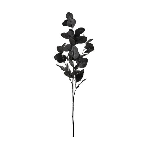 Eucalyptus Branch - Black