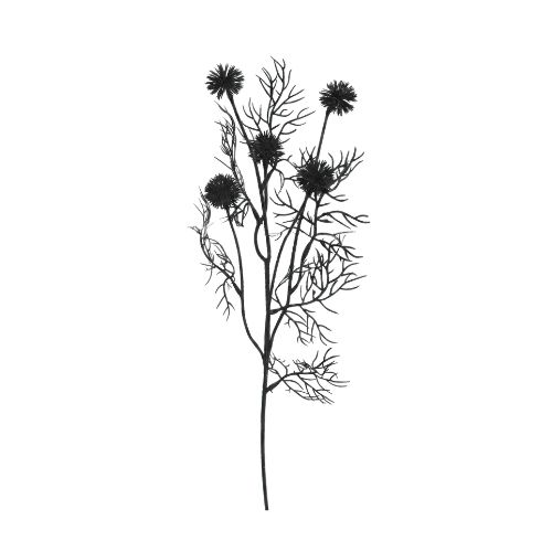 Thistle Spray - Black