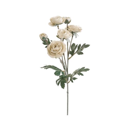Ranunculus Spray - Cream