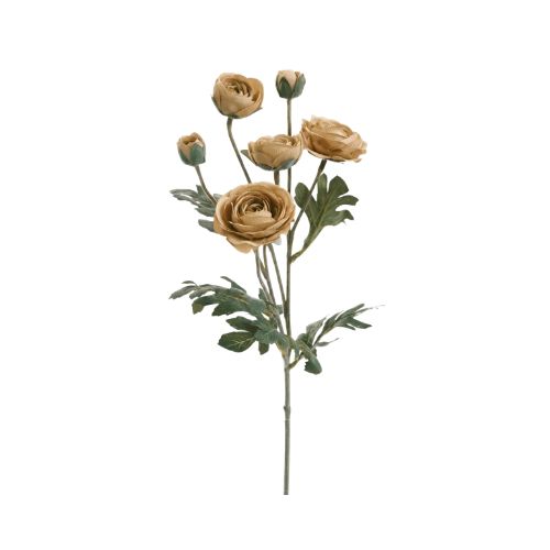 Ranunculus Spray - Beige