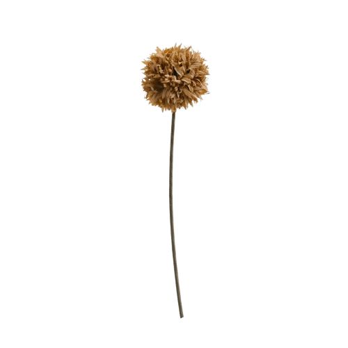 Pom-Pom Stem - Brown