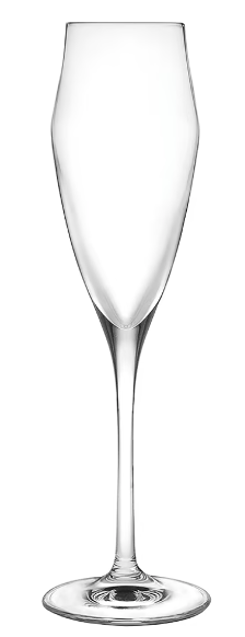 Evo 6oz - Champagne (DZ)