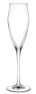 Evo 6oz - Champagne (DZ)