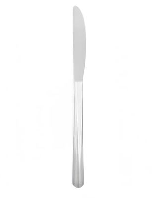 Dinner Knife WR - SS - (7.95" / 20.19cm)