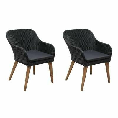 Outdoor Chairs with Cushions 2 pcs Poly Rattan Black