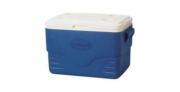 Performance 36QT