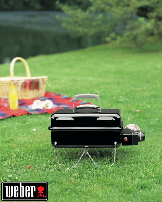 weber Go-Anywhere® Gas