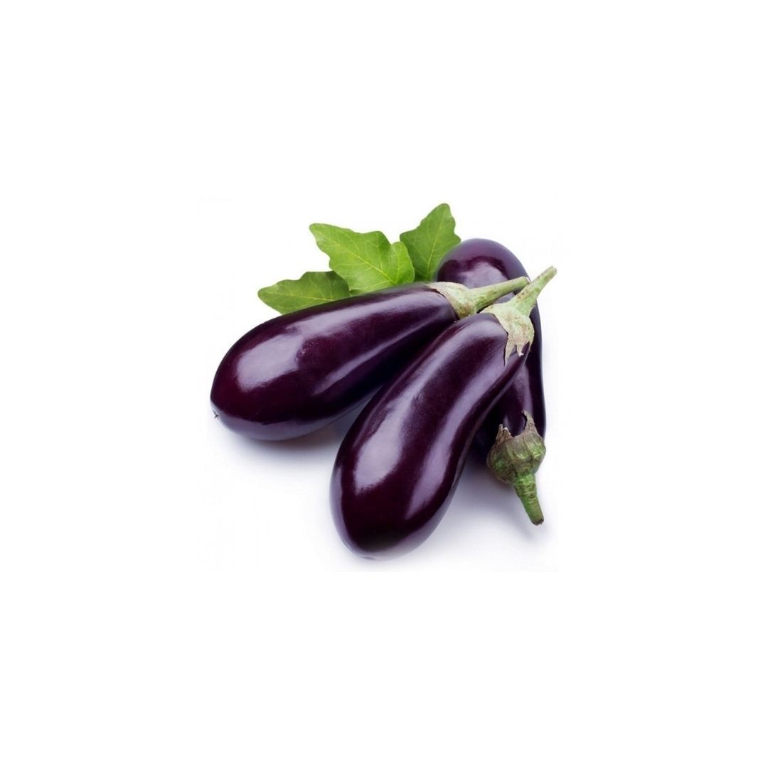 Aubergine-Patlıcan