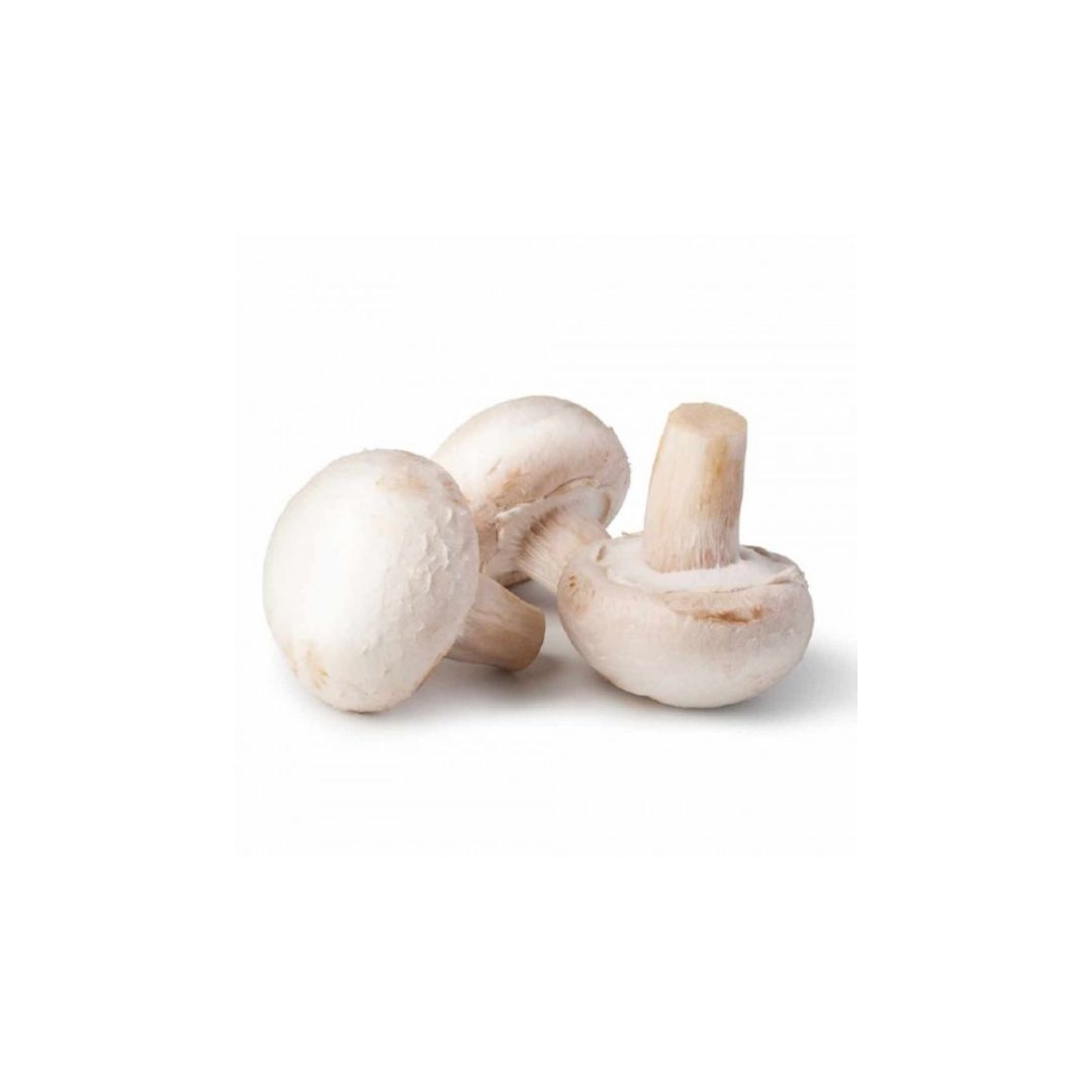 Champignon-Mantar 500g