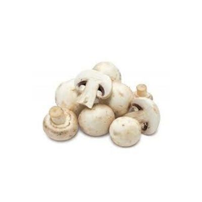 Champignon-Mantar 250g