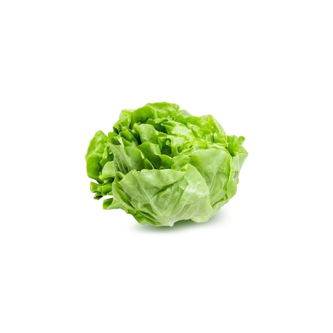 Kropsla