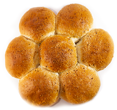 Ekmek/Brood Bloem