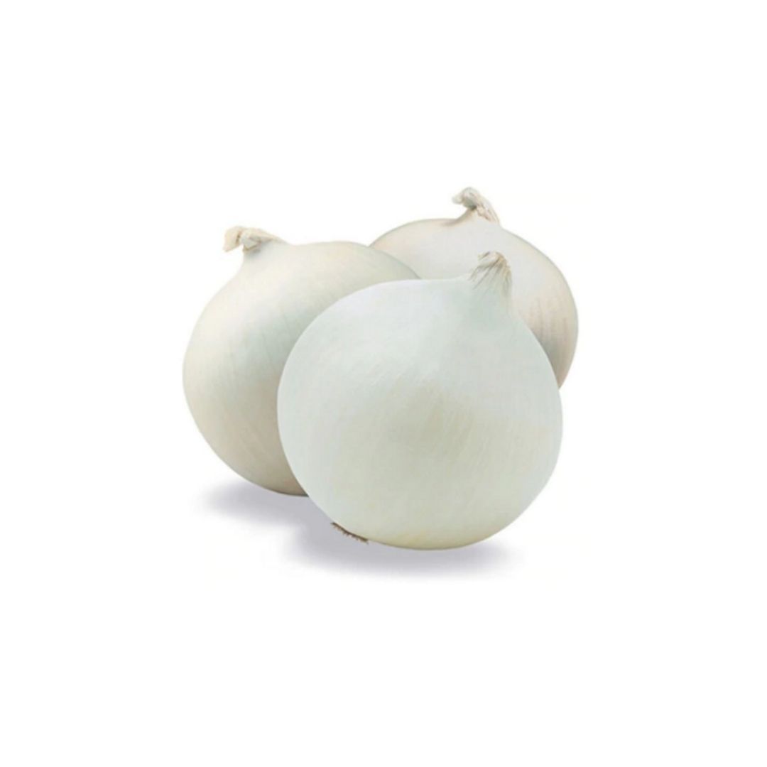 Grote Ajuin-İspanyol Soğan