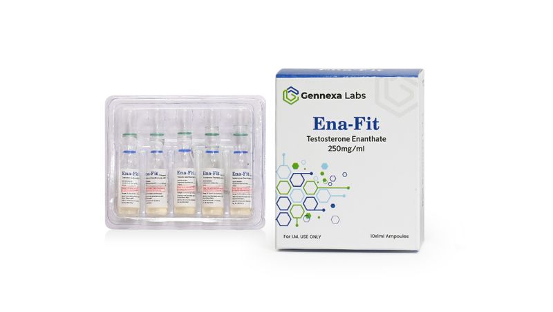 Ena-Fit (Testosterone Enanthate) 250 mg/ml 10 ampules
