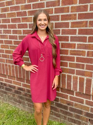 Something in the Air, Brick Red Collared Long Sleeve Dress