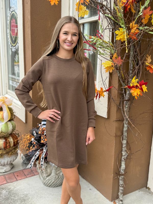 Mocha Shift Dress