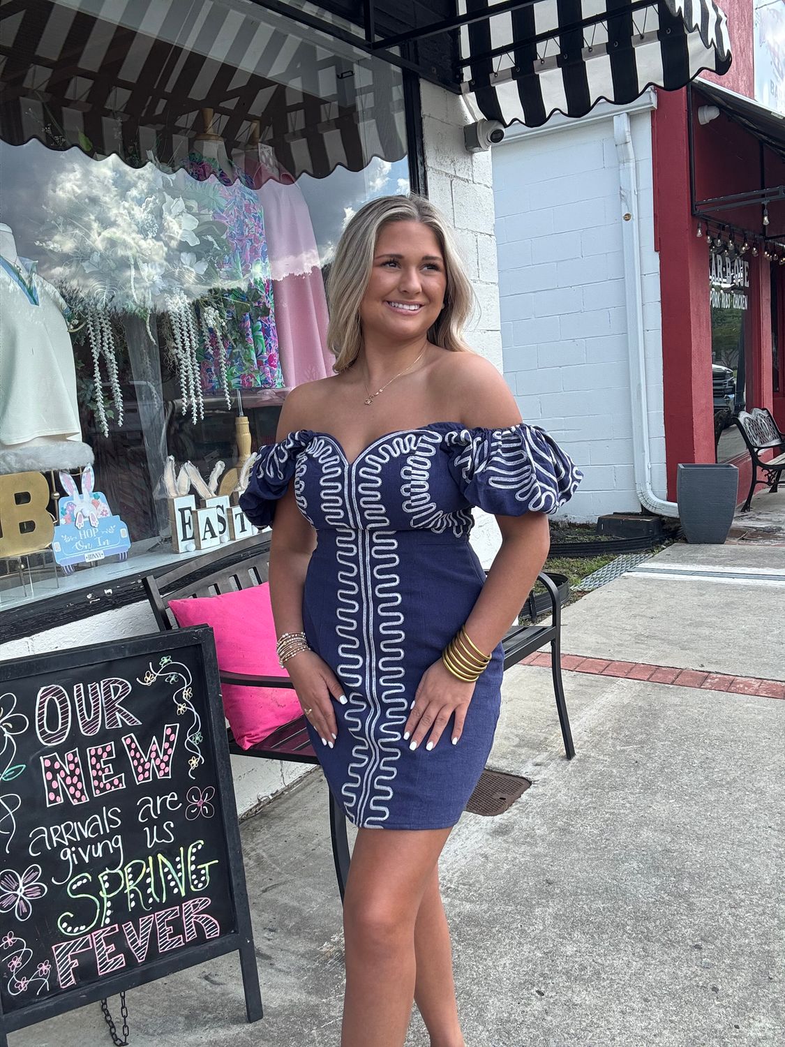 Navy Embroidered Mini Dress