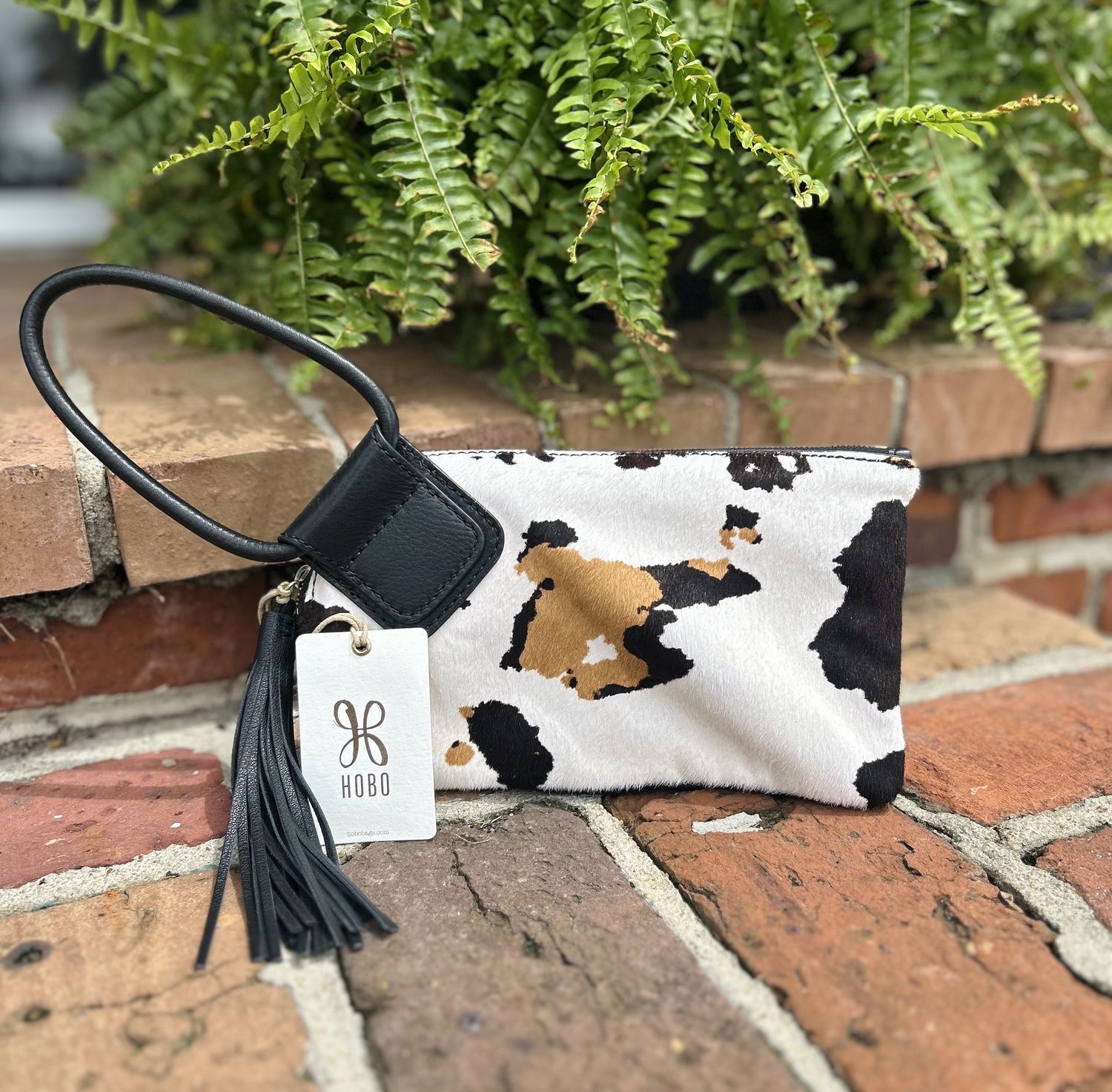 Cow Print Sable