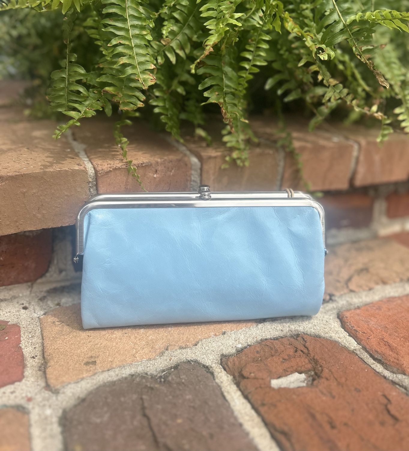 Stratosphere Lauren Clutch Wallet