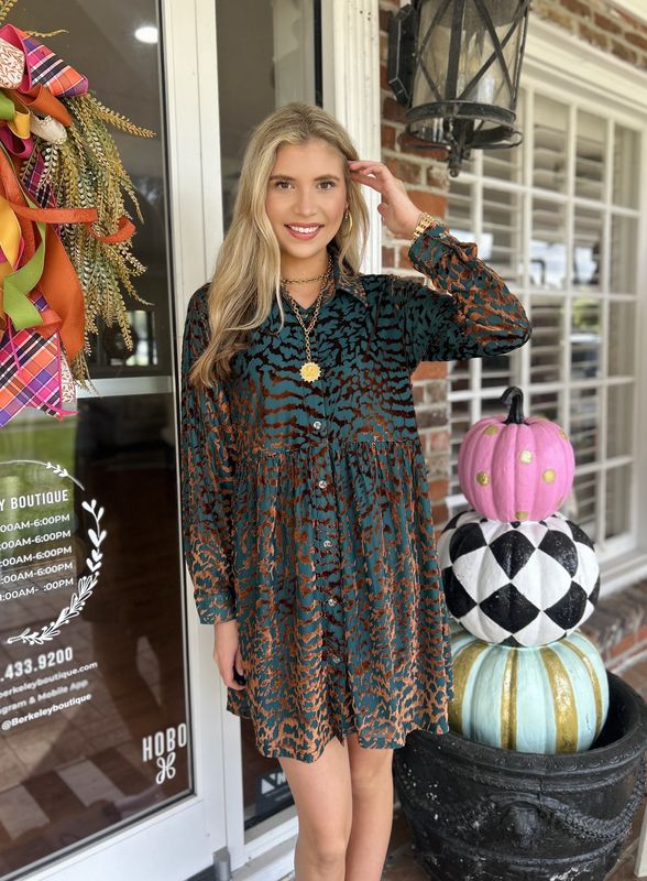 Loved By You Buttoned Down Teal And Brown Velvet Printed Dress