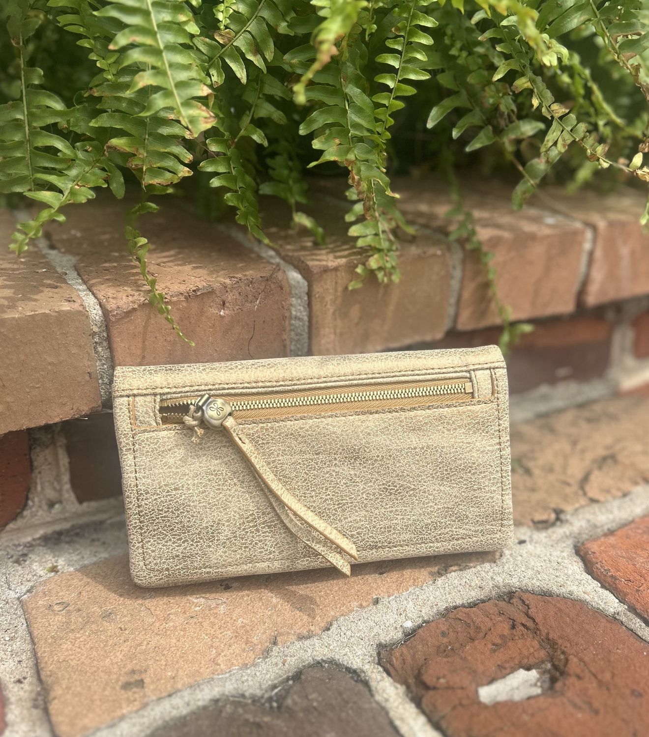 Lumen Continental Wallet