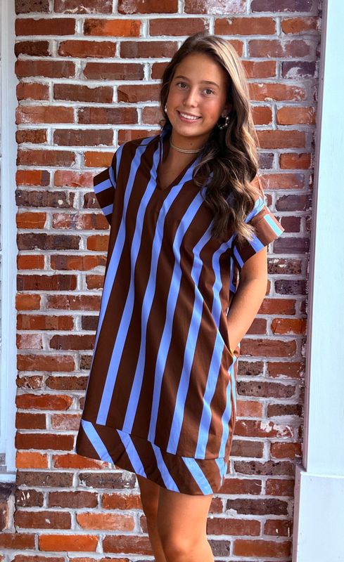 Well You'd Better Believe It Blue/Brown Striped Short Sleeve Dress