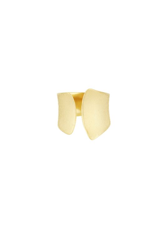 Subtle elegance ring