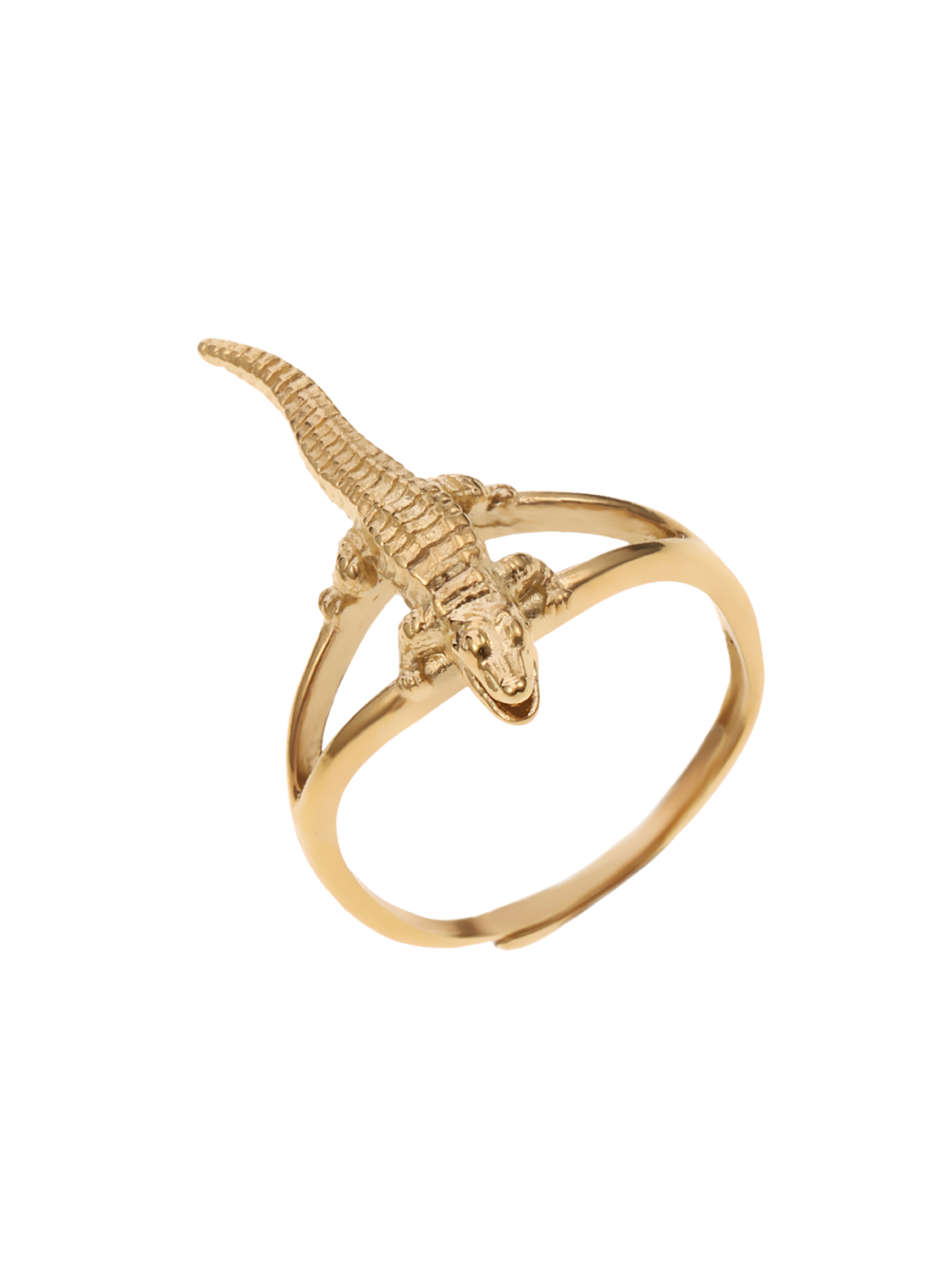 The Crocodile Ring