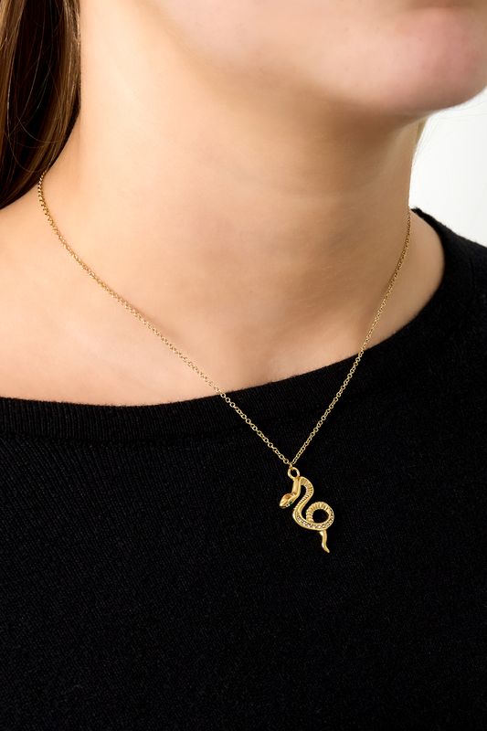 Love poison serpent necklace