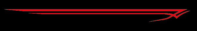 side decals 9