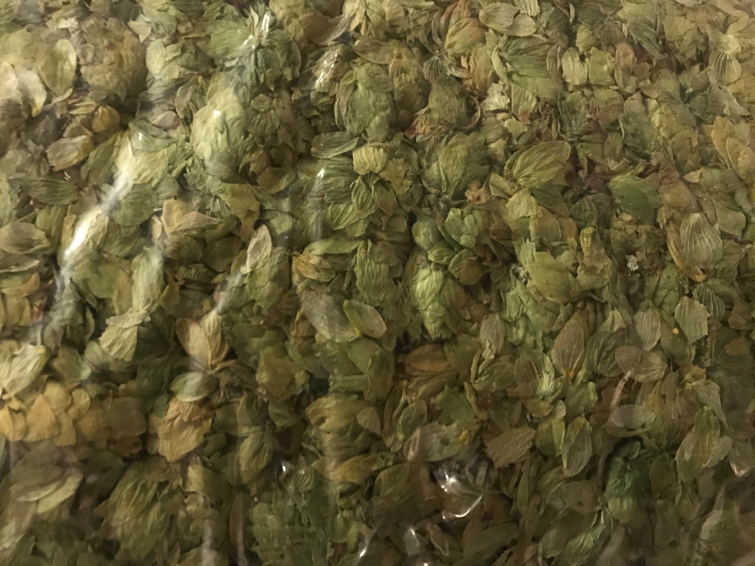 Angelville Hops