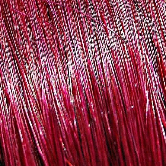 Fusion/U-Tip #BURGUNDY