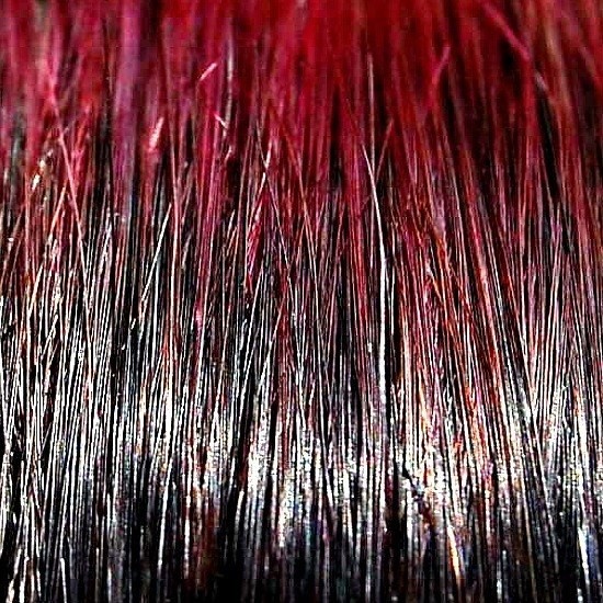 Fusion/U-Tip #1B/BURGUNDY Mix